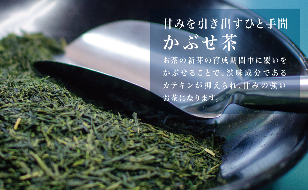 【鹿児島県産緑茶】かぶせ茶 かせだみどり（80g×5） お茶 茶葉 日本茶 緑茶 飲料 飲み物 ギフト 贈答用 国産 鹿児島県産 南さつま市 お茶の松山園