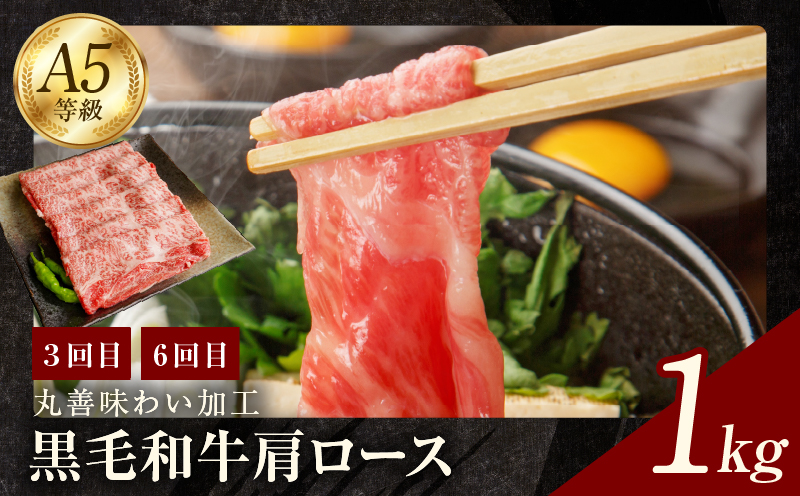 黒毛和牛 定期便 全6回 （ステーキ／焼肉／すき焼き・しゃぶしゃぶ） 12万円コース 丸善味わい加工【毎月配送コース】 099Z240