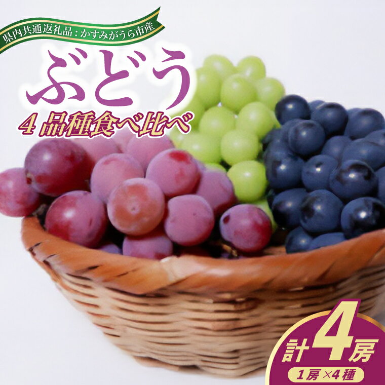 【ふるさと納税】【2025年8月より順次発送予定】ぶどうの4品種食べ比べ(県内共通返礼品:かすみがうら市産)【配送不可地域：離島・沖縄県】 (BR075)