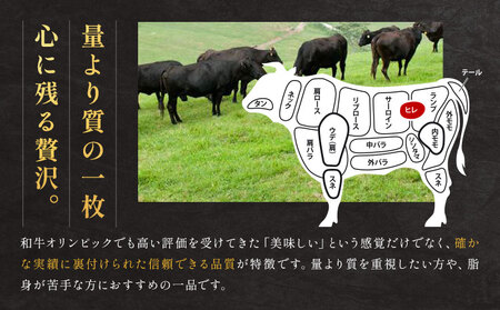 肉 牛肉 鹿児島県産 黒毛和牛 ヒレステーキ 2種盛り ステーキ サイコロ 240g A5等級 LRプラスK 《90日以内に出荷予定(土日祝除く)》 A5 鹿児島県 さつま町