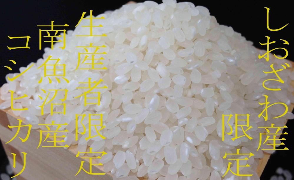 【令和7年産】【定期便4kg×6ヶ月】しおざわ産限定 生産者限定 南魚沼産コシヒカリ【2025年10月上旬より順次発送予定】