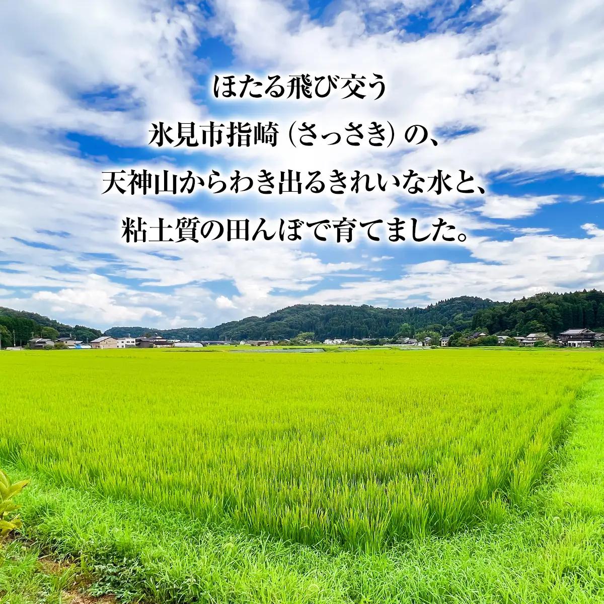 【特別栽培米】令和7年産 富山県産 "富富富" ５kg 