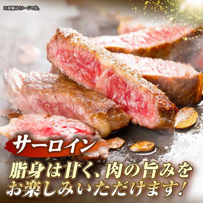 【全12回定期便】長崎和牛 サーロイン ヒレ ステーキセット 各1枚 《壱岐市》【KRAZY MEAT】 A5 A4 冷凍 和牛 肉 牛肉 BBQ 詰め合わせ 贈り物[JER135] 九州