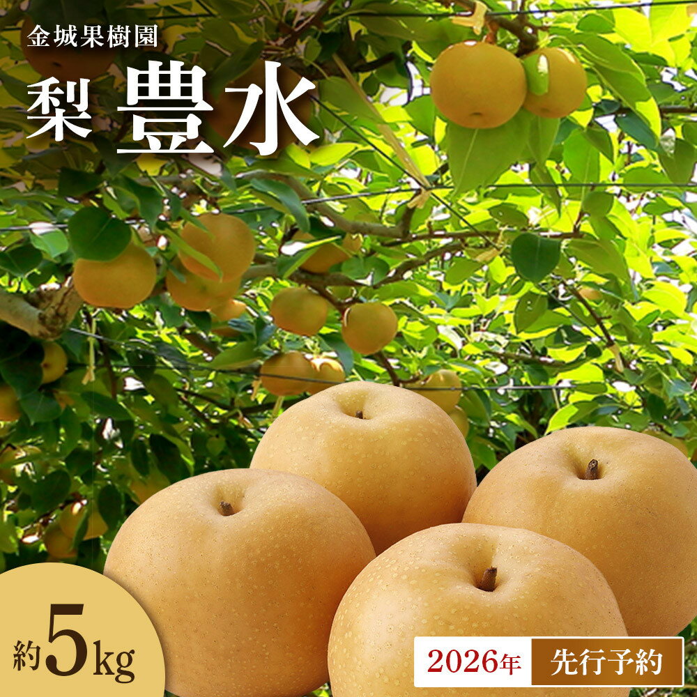 【ふるさと納税】【2026年先行予約】金城果樹園　梨「豊水」約5kg（8～14玉入）2026年9月初旬～順次発送 | フルーツ 果物 くだもの 食品 人気 おすすめ 送料無料