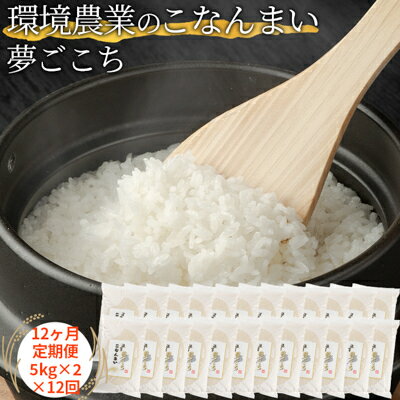 【ふるさと納税】【12ヶ月定期便】環境農業のこなんまい 夢ごこち10kg お米 おにぎり
