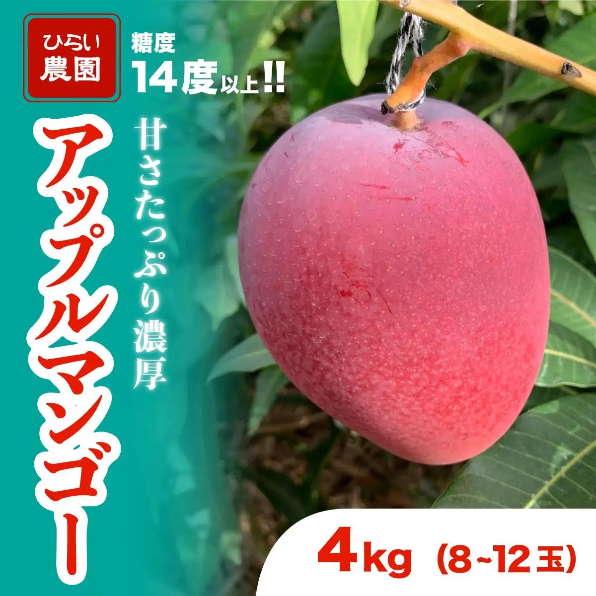 【2027年 先行予約】アップルマンゴー 約4kg