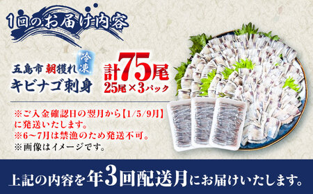 【全3回定期便】新鮮キビナゴのお刺身 五島市/Sun Sea Go Company[PGL002]