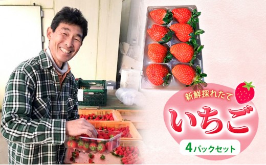 
                  新鮮採れたて　いちご　４パックセット 果物 フルーツ 食後 デザート おやつ ストロベリー 旬の果物 
                