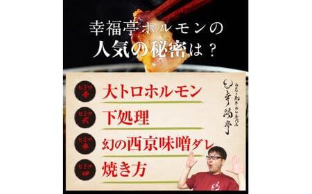 【ホルモン】国産牛 600g 大トロホルモン