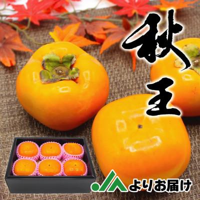 ふるさと納税 岡垣町 【2026年10〜11月発送】ブランド柿「秋王」化粧箱　約1.75kg(岡垣町)