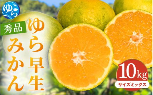 
                  ゆら早生みかん 秀品 サイズミックス 10kg 贈答用※2026年10月上旬～11月中旬頃に順次発送予定/ ゆら早生 柑橘 極早生 フルーツ 果物 くだもの 食品 人気 おすすめ 送料無料 由良町 【ksmt003-r-mix-10】
                
