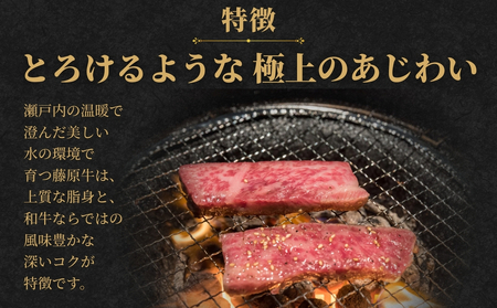 藤原牛 ロース 焼肉用 500g 和牛 広島牛【牛肉 お肉 やきにく 竹原産和牛 BBQ 霜降り 最高品質 肉質 脂質】