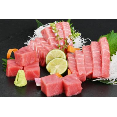 ふるさと納税 気仙沼市 2025 年内発送 まぐろ 本マグロ背トロ 約400g(200g×2柵) 20565850 |  | 02