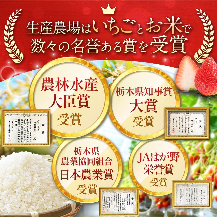 【定期便6回】栃木県産 とちぎの星 玄米 5kg 2026年 先行予約 | 栃木県 矢板市