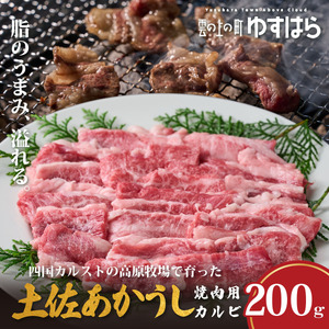低温でも脂身がとろける土佐あかうし焼肉用カルビ　200g　牛肉 和牛 国産 BBQ オレイン酸 高知県産
