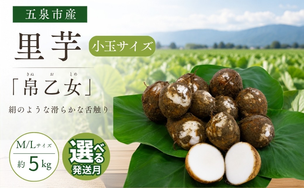 
                  さといも 小玉サイズ 帛乙女 5kg ( M・Lのいずれか ) ※サイズ指定不可 選べる発送月 | 里芋 サトイモ きぬおとめ 特産 名産 産地直送 贈答 贈り物 ギフト お取り寄せ おすすめ 新潟県 五泉市 五泉市園芸組織連絡協議会
                
