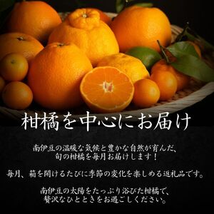 【定期便】旬の柑橘セット 12ヶ月の定期便　【 柑橘 】