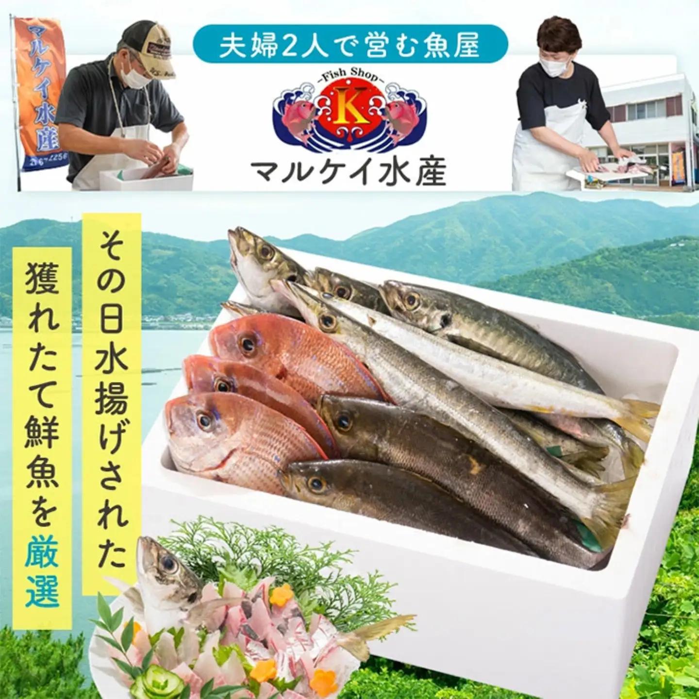 鮮魚ボックス 鮮魚BOX 地魚 詰め合わせ 約4人分 産地直送【マルケイ水産】A09002
