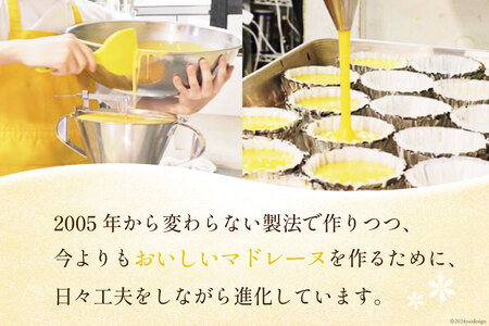 お山のマドレーヌ16個入