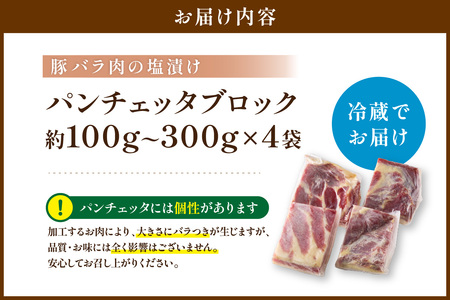 パンチェッタ【約200g×4袋】 ふるさと納税 豚肉 塩漬け ふるさと納税 ベーコン ふるさと納税 パンチェッタ 豚バラ 塩漬け スペイン料理