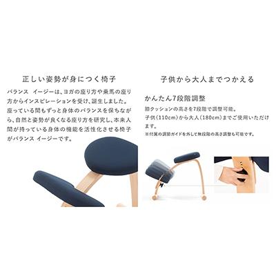ふるさと納税 美濃市 バランスイージー 通常[ライトグリーン]カバー付+イージーライティングボードM【複数個口で配送】 |  | 01