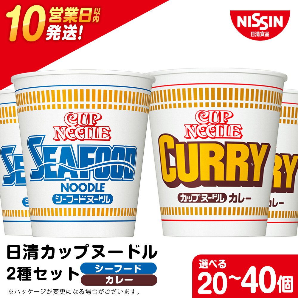 【ふるさと納税】 日清ヌードル2種セット シーフードヌードル・カレーヌードル 選べる各10食・各20食入 合計20食・40食 麺類 ラーメン麺 即席麺 麺類 ラーメン カップ麺 インスタント 麺類 カップラーメン 【北海道千歳市】ギフト ふるさと納税