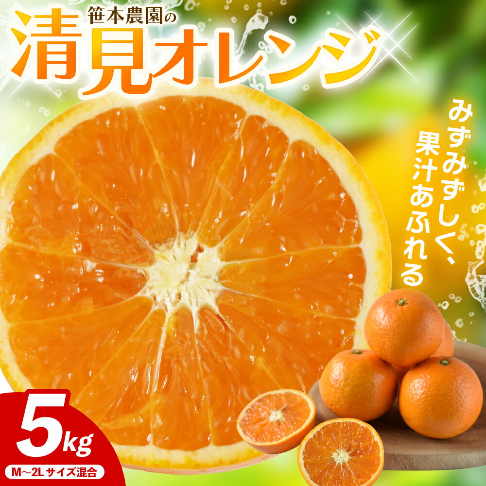 【ふるさと納税】 清見オレンジ 5kg M～2L サイズ混合 みかん ミカン 蜜柑 清見 オレンジ 柑橘 フルーツ 果物 くだもの 甘い 旬 人気 果汁 濃厚 産地直送 国産 お取り寄せ 数量限定 期間限定 三重県 熊野市 送料無料 笹本農園【2027年4月上旬頃〜順次発送】