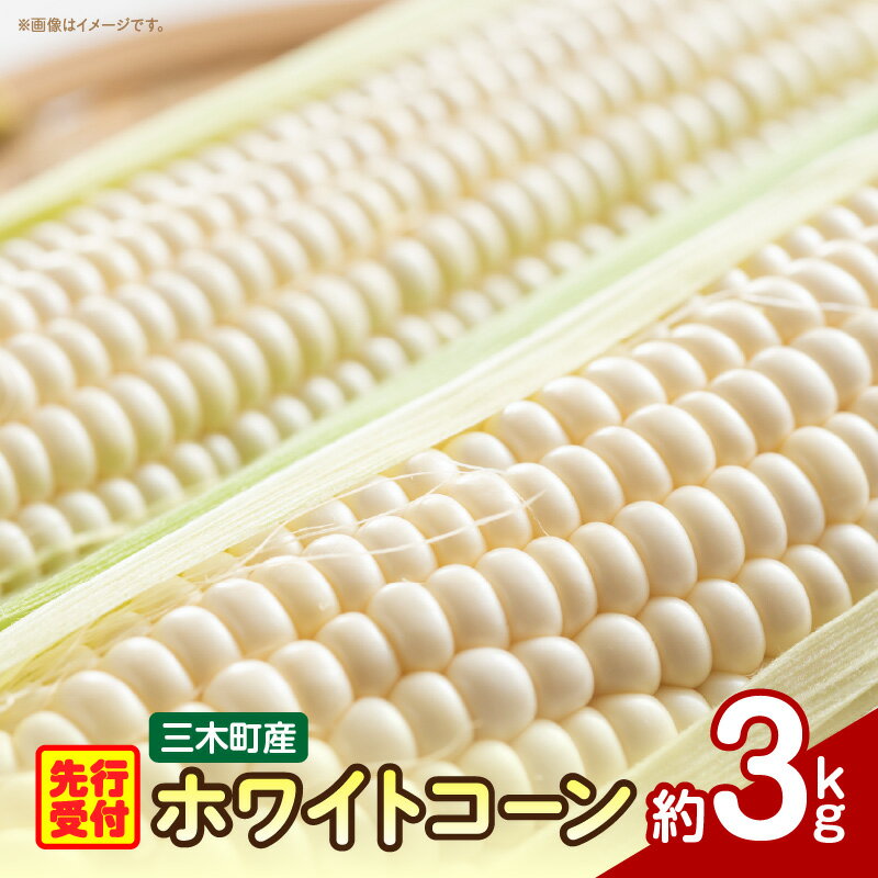 【ふるさと納税】三木町産 ホワイトコーン 約3.0kg とうもろこし 野菜 コーン 旬の野菜 旬 季節の野菜 季節 贈答 贈り物 ギフト プレゼント おすそ分け グルメ お取り寄せ 人気 おすすめ 特産 特産品 生鮮食品 香川県 三木町 送料無料