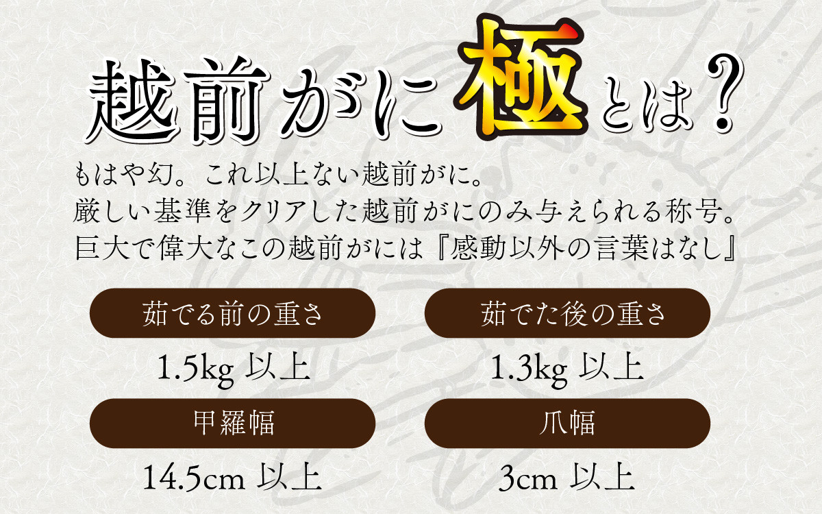 厳しい審査をくぐり抜けるから日本最高。認められたのは、前年のズワイ全体に占める割合の、わずか0.1%！ 