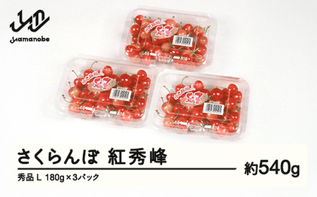 先行予約 さくらんぼ 紅秀峰 秀品 L 約540g 令和7年産 2025年産 山形県産 フルーツ 果物 tf-bspsl540