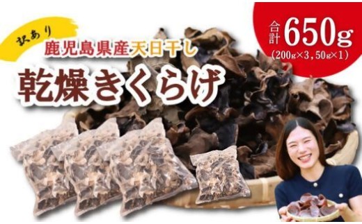 ＼訳アリ”／鹿児島県産天日干し乾燥きくらげ 合計650g 国産 訳あり 訳アリ 業務用 乾燥きくらげ 野菜 きのこ 健康 食物繊維 低カロリー エムズ わか農園 サラダ みそ汁 スープ 炒め物 煮物 和え物 鹿児島県 薩摩川内市 送料無料_ss2018