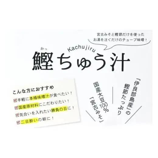 AD109＜浜口水産＞ 鰹ちゅう汁（100ｇ×5袋）｜鰹 カツオ 宮古味噌 出汁 沖縄県 宮古島市 伊良部島 人気 おすすめ 味噌 送料無料