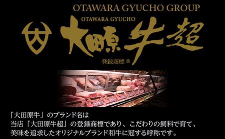 大田原牛 100％ 生ハンバーグ 5パックセット | ブランド 和牛 牛肉 高級 ハンバーグ 自家製 ソース付き