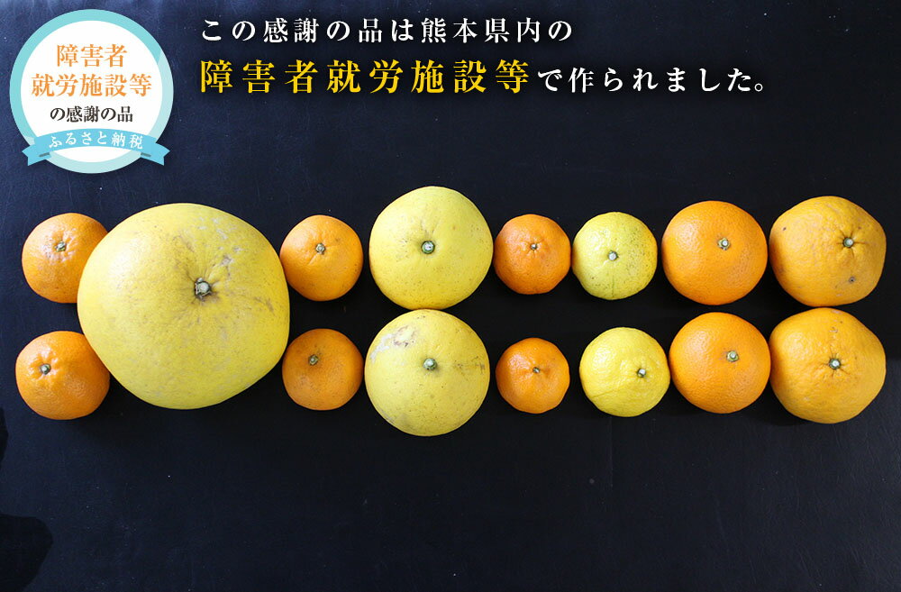 【ふるさと納税】わくわくするおれんじセット 約6kg 5～6種類 甘夏みかん 不知火 八朔 ポンカン パール柑 その時期のみかん はるか せとか ミカン 蜜柑 柑橘 フルーツ 果実 旬 国産 熊本県 送料無料 【2027年1月下旬発送開始】
