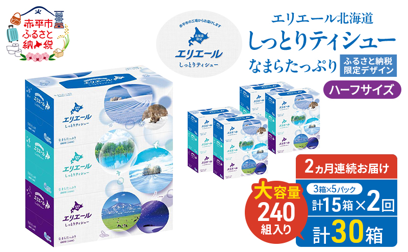 定期便 2ヵ月連続お届け エリエール ハーフサイズ 収納に便利 コンパクト 【少量5パック】 北海道 しっとりティシュー なまらたっぷり 240組3箱 5パック 計15箱 ボックスティシュー ふるさと納税限定デザイン