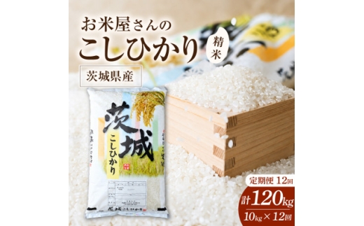 ＜毎月定期便＞お米屋さんのコシヒカリ 精米 10kg(5kg×2) 全12回【4094332】