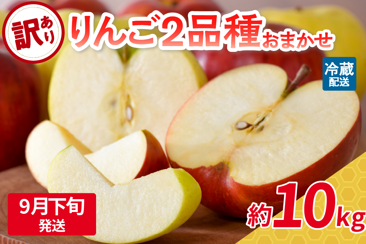 【2025年9月下旬発送】 【訳あり】 旬の美味しい りんご 約10kg 青森産 【おまかせ2品種】