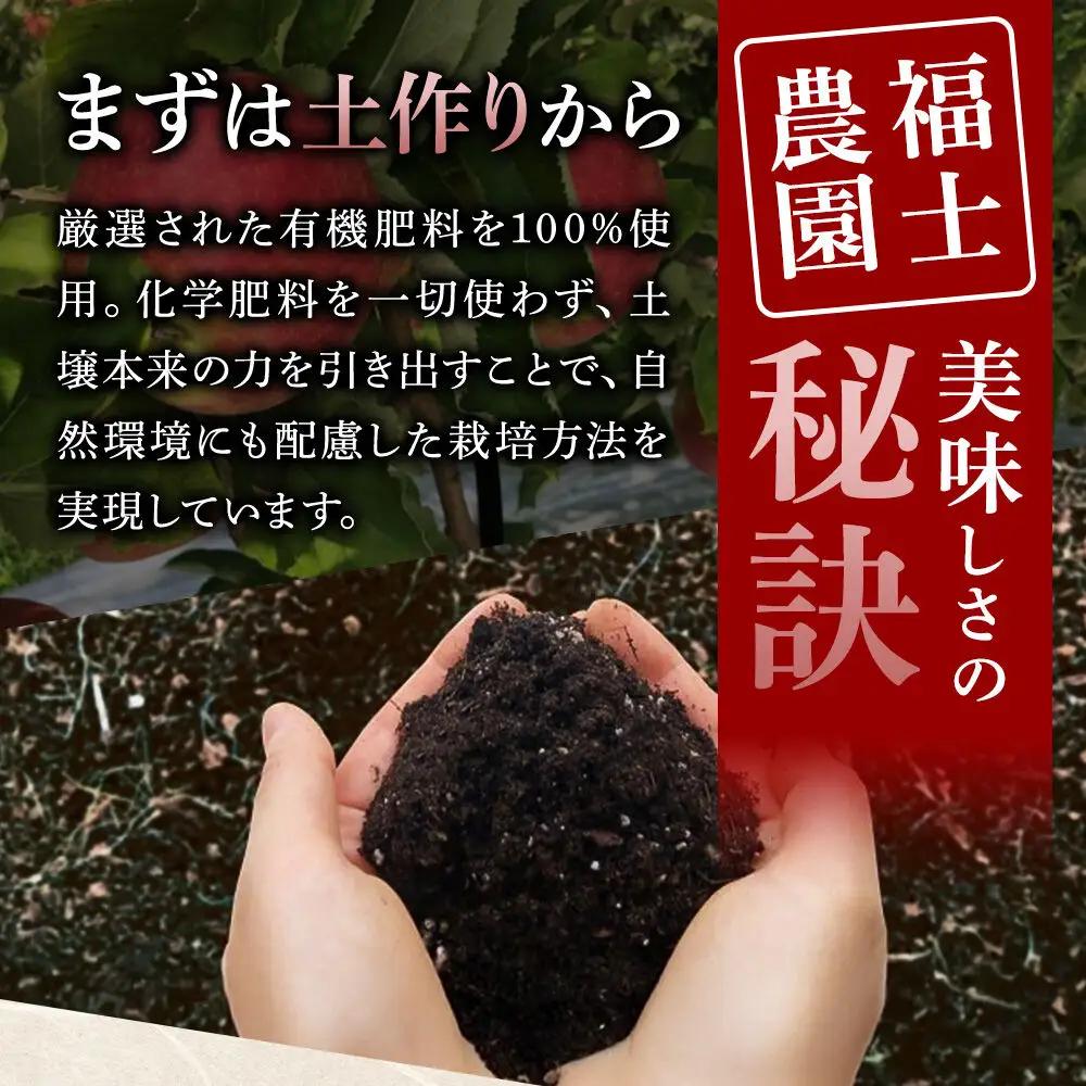 【26年9月発送】りんご 葉とらず つがる【家庭用】約5kg 青森県 弘前市