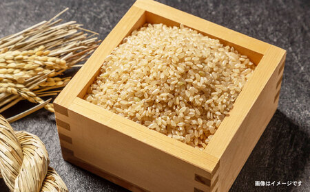 【轟峡渓流米】玄米(にこまる)　3kg / 米 白米 玄米 こめ / 轟名水ファーム高来 / 諫早市[AHFF010]