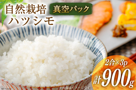 米 ハツシモ 2合×3 計900g 真空パック / かなざわ農園 / 長崎県 雲仙市 [item0943] お米 精米