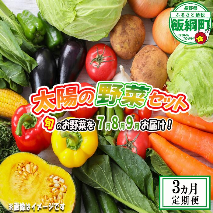 【ふるさと納税】 太陽の野菜セット 【 7月から 3か月 定期便 】 配送先は本州限定 ( 化学肥料 除草剤 不使用 ) 【 旬の野菜 80サイズ段ボール1箱分 】〔 野菜 3ヶ月 詰め合わせ セット 信州 長野 飯綱町 〕 発送時期：2026年7月中旬〜2026年9月中旬