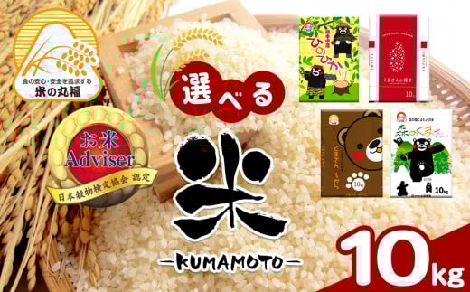 お米アドバイザーにおまかせ 10kg | 米 こめ お米 おこめ 白米 精米 熊本県 玉名市