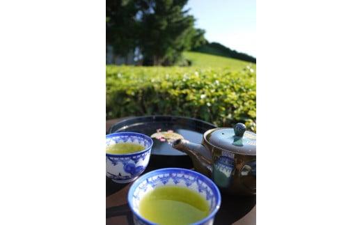 098-9 【令和7年5月より新茶出荷】 牧之原産 深蒸し 煎茶 「赤富士」３本セット お茶 茶 深蒸し 煎茶 旬 日常 のし 熨斗 贈答 ギフト 静岡県 牧之原市 澤田行平商店
