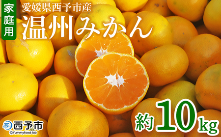 ＜愛媛県西予市産 温州みかん 家庭用 約10kg＞ 果物 くだもの ミカン 蜜柑 柑橘 フルーツ 訳あり ワケアリ 食べて応援 特産品 段畑みかん 愛媛県 西予市【常温】『2026年10月中旬～11月中旬迄に順次出荷予定』ADM0011