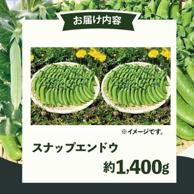ふるさと納税 大館市 スナップエンドウ  プリッと甘い!約1400g |  | 02