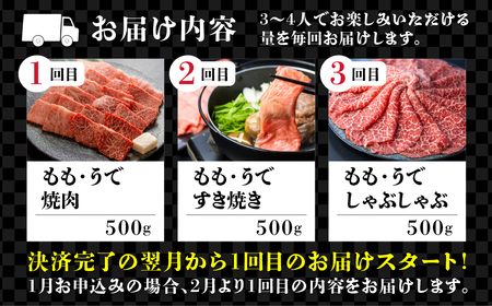 定期便 3回 飛騨牛 5等級 赤身 ウデ モモ しゃぶしゃぶ すき焼き 焼肉 3～4人前 3ヵ月 国産牛 国産 牛肉 肉 和牛 厳選 肉の沖村[Q2341]