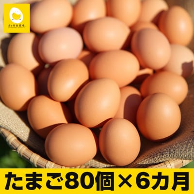 【定期便】6ヵ月連続お届け　卵の黄身が掴めるほどの新鮮さ　美ら卵養鶏場の卵　各月80個