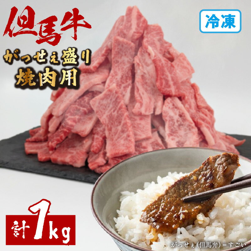 【ふるさと納税】 但馬牛 がっせぇ盛り 焼肉用 【計1kg（250g×4）】 冷凍便 焼き肉用 切り落とし 黒毛和牛 牛肉 厚切り 和牛 ブランド肉 国産牛 焼き肉 ジューシー 旨い肉 高級和牛 お取り寄せ 肉 ブランドビーフ 72-24 送料無料