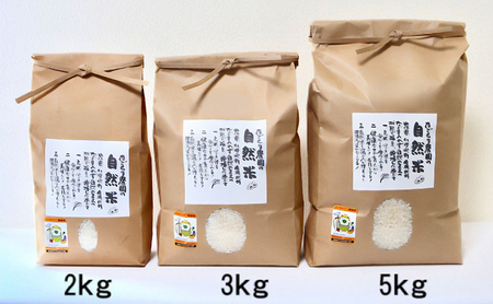 米 令和6年産 たごもり農園の自然米 ヒノヒカリ 玄米 2kg お米