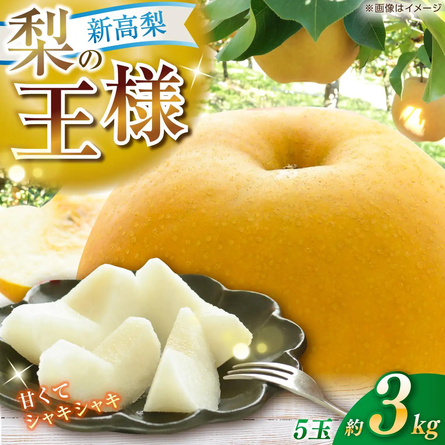 【先行予約】 新高梨 約3kg（5玉）〈2026年9月20日~10月末発送〉 / 高知 新高梨  【川渕果樹園】[ATHX002]